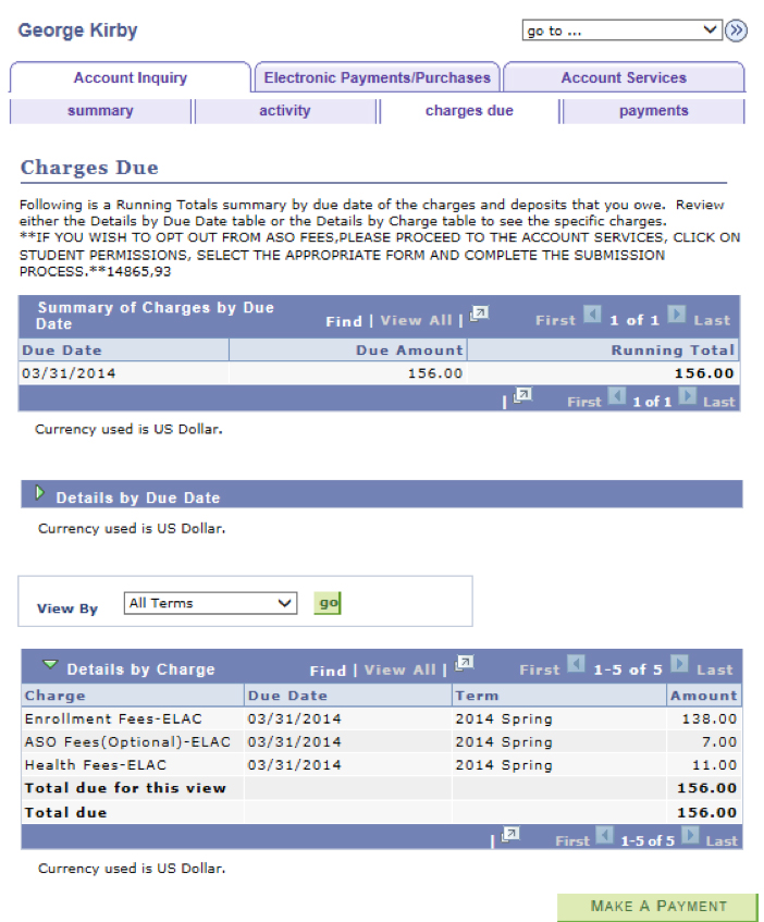 Payment Screen Example